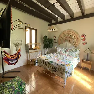 Apartamento The Garden Apartment, The Willow Apartment, & The Tropical At Casa Of Essence In Old, San Juan